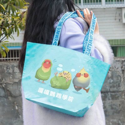 客製彩印PP編織袋