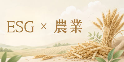 小麥桔稈的第二生命，從農田到永續禮品